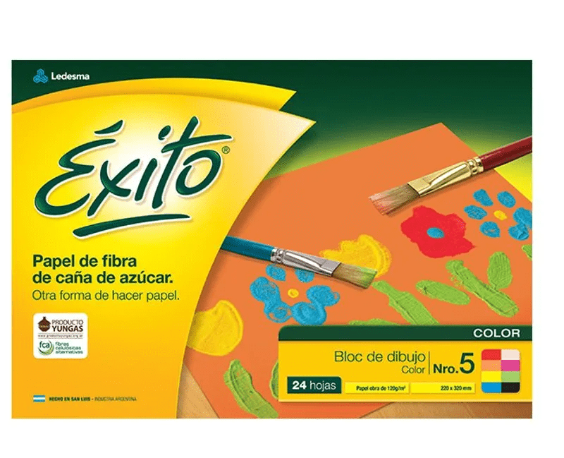 EXITO BLOCK DIBUJO N°5 COLOR 24 HOJAS