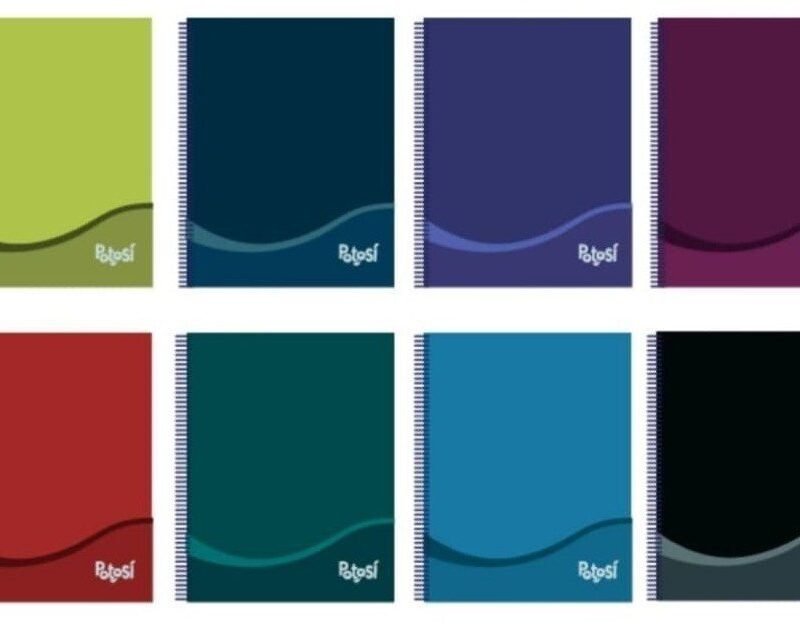 POTOSI CUADERNO UNIVERSITARIO 80HJS